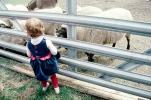 Girl with Sheep, PFFV04P04_15