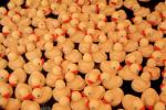 Rubber Duckies, Floating