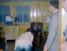 Full Cut Panties, Lady lifts dress, upskirt, 1950s, PFLV10P14_10
