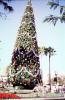 Christmas Tree, decorations, PFPV04P06_10