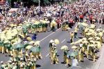 Umbrellas, Cape Town Minstrel Carnival