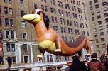 Frieda the Dachshund, Wiener Dog, Helium Balloon, Macy's Thanksgiving Day Parade, early 1950s, PFPV06P06_16