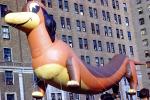 Frieda the Dachshund, Wiener Dog, Helium Balloon, Macy's Thanksgiving Day Parade, early 1950s, PFPV06P06_16B