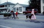 Cowboys, boys, Little Bo-Beep, Goat, Sulfer Springs Sesquicentennial Parade, Tiro-Auburn, Ohio, July 1983, 1980s, PFPV07P04_06