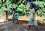 Girls Walking, Sri Lanka, PFSV01P12_19