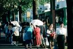Women, Umbrella, Walking, Tokyo, PFSV03P04_05