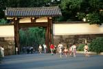 Torii Gate, Imperial Palace Park, Tokyo, PFSV03P04_11