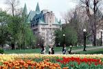 Tulips, Building, Castle, Palace, Ottawa