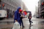 Rainy Day, crosswalk, umbrellas