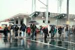 Fourth Street Caltrain Station, umbrellas, crowds, crosswalk, rain, rainy, PFSV07P03_19