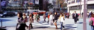Crosswalk, Ginza District, Tokyo, Panorama, PFSV08P02_02