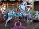 Carousel, Merry-Go-Round, PFTD01_001
