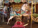 Carousel, Merry-Go-Round, PFTD01_003