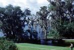 Cypress Gardens, 1950s