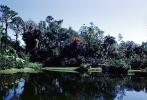 Cypress Gardens, 1950s, PFTV02P04_06