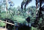Cypress Gardens, 1950s, PFTV02P04_07