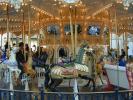 Carousel Horse, Carousel, Merry-Go-Round, PFTV02P14_19