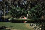 Cypress Gardens, PFTV03P07_01