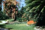 Cypress Gardens, PFTV03P07_02