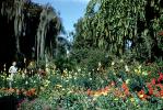 Cypress Gardens, PFTV03P07_03