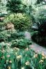 Iris Flowers, path, gardens, trees, 1973, PFTV03P08_05
