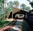 Miniature Rail, Ride, Live Steamer, tunnel, trees, Busch Gardens