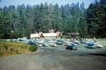 Parking, Cars, Forest, Trees, automobiles, vehicles, Santa's Village Scotts Valley, Santa Cruz County, 1950s, PFTV04P02_14