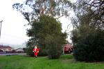 Santa Claus, Sonoma County, PHCD01_012