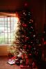 Decorated Tree, Decorations, presents, PHCV01P02_03