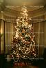 Tree, Decorated, Decorations, presents, PHCV01P03_17