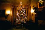 Decorated Tree, presents, living room, PHCV01P06_02