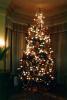 Decorated Tree, presents, living room, PHCV01P06_09