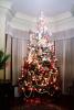 Decorated Tree, presents, living room, PHCV01P06_10