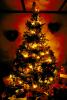 Decorated Tree, decorations, presents, PHCV01P07_10.2415