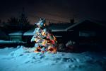 Christmas Tree in the Snow, cold, ice, night, nighttime, PHCV01P08_05