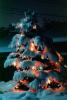 Christmas Tree in the Snow, cold, ice, night, nighttime, PHCV01P08_06