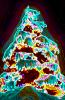 Christmas Tree in the Snow, cold, ice, night, nighttime, PHCV01P08_08B