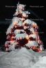 Christmas Tree in the Snow, cold, ice, night, nighttime, PHCV01P08_09B