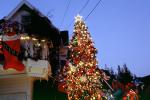 Christmas Tree decorated, decorations, outdoors, outside, PHCV01P09_14
