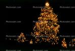 Christmas Tree Lights, decorated, decorations, outdoors, night, nighttime, PHCV01P10_19