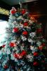 Decorated Christmas Tree, PHCV01P13_08
