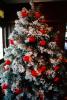 Decorated Christmas Tree, PHCV01P13_09