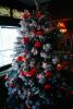 Decorated Christmas Tree, PHCV01P13_10