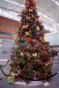 Decorated Christmas Tree, PHCV02P02_06