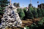 Christmas tree for sale, flocked