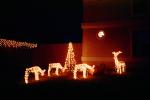 Christmas Lights, deer, tree, PHCV02P03_09