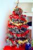 Christmas Tree, PHCV02P04_12