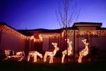 Sled, reindeer, Christmas Lights, Home, House, Building, Residence, Residential, PHCV02P04_19