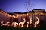 Sled, reindeer, Christmas Lights, Home, House, Building, Residence, Residential, PHCV02P05_01