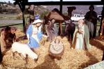 Nativity Scene, manger, Baby Jesus, crib, lamb, Mother Mary, camels, hay, Three Wisemen, PHCV02P08_09
